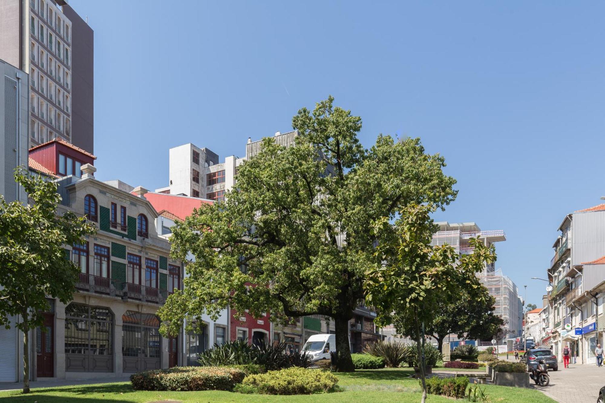 פורטו Qp Apartments Trindade מראה חיצוני תמונה